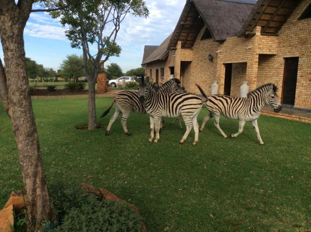 The Vaal Guesthouse Oranjeville Exterior foto